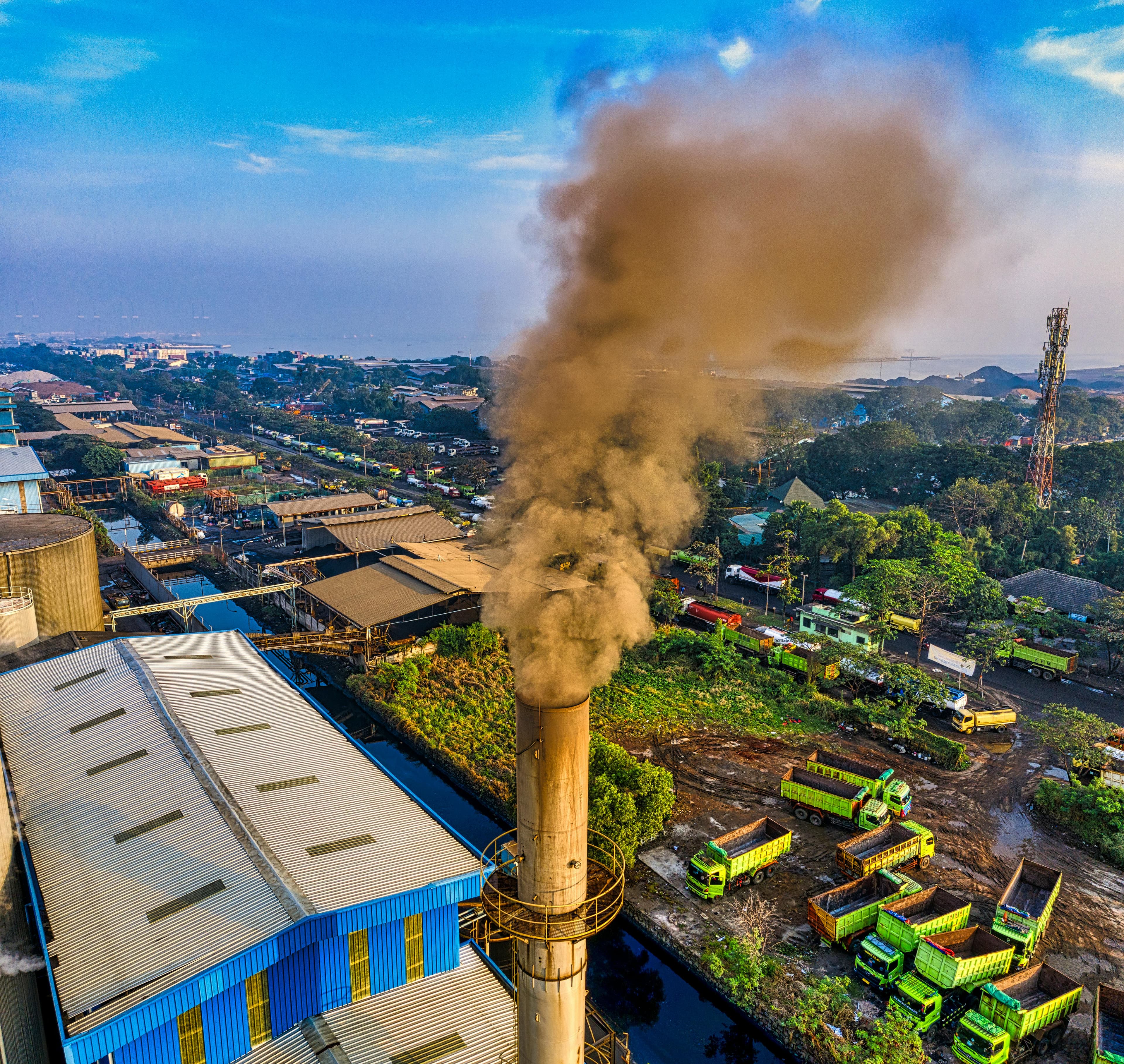 Carbon Market Entry Advisory