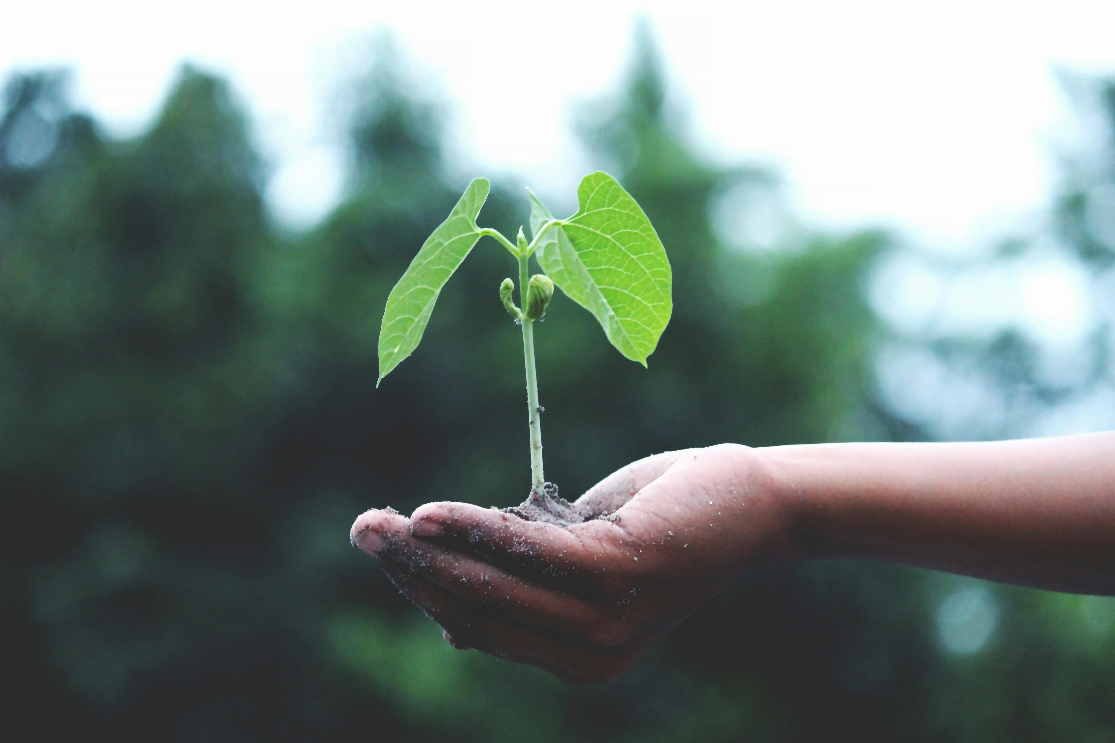 Capacity Building for Regulatory Implementation
