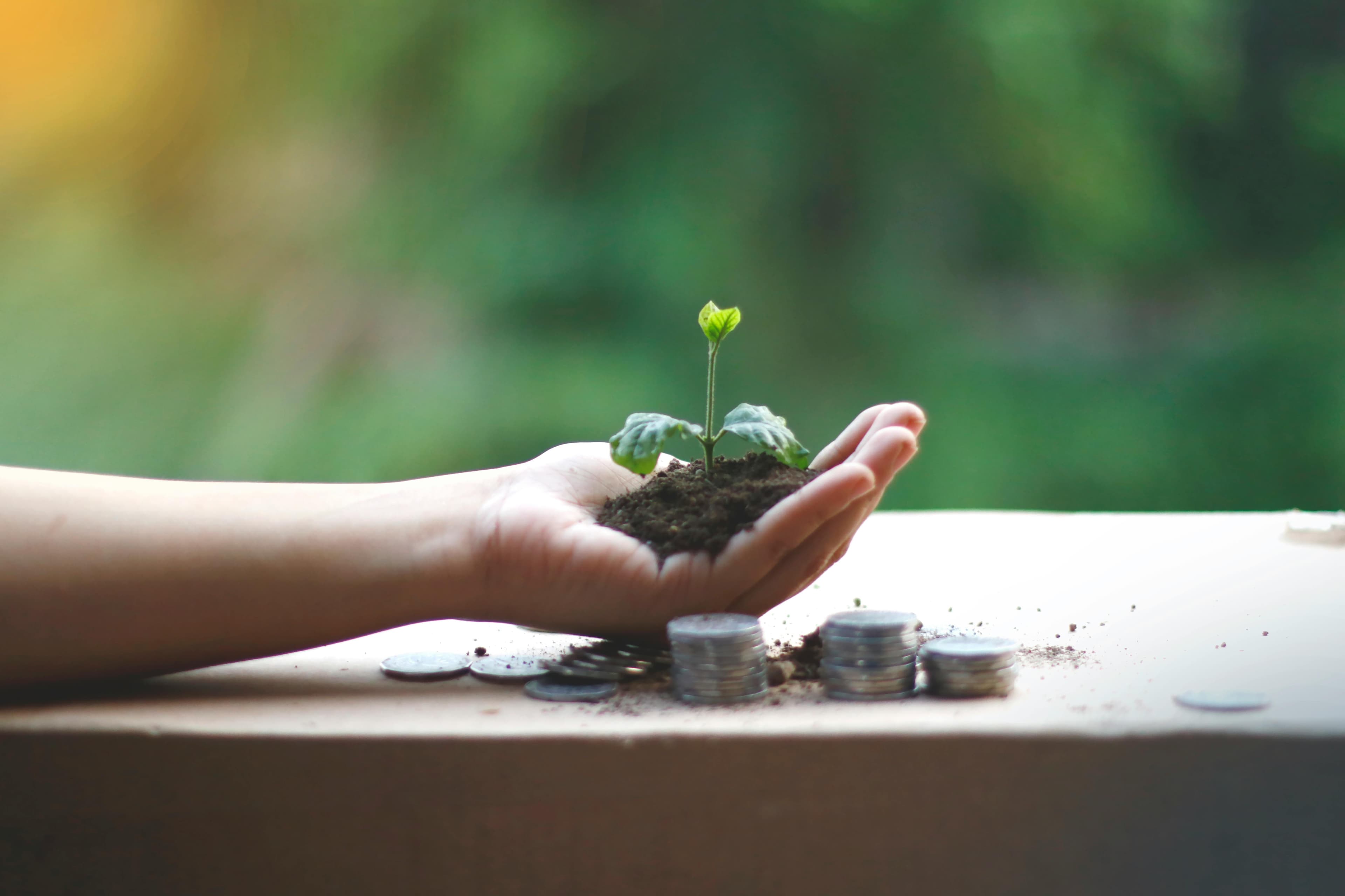 Climate Finance & Carbon Commercialization